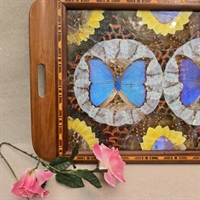 sommerfugle-sommerfuglevinge-dekoration-intarsiakant-trae-bakke-gammel-sydamerikansk-souvenier-